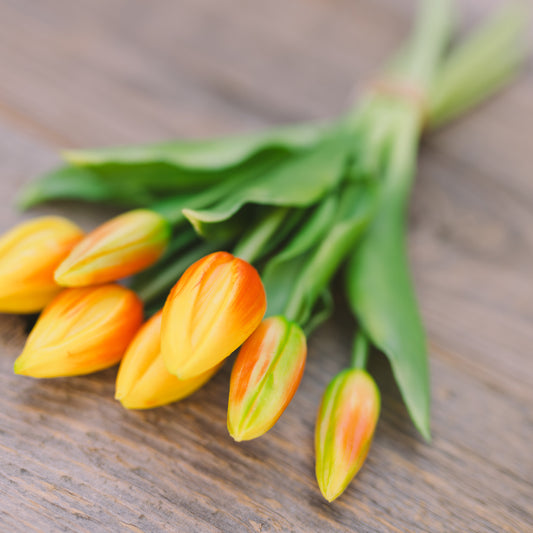 Tuplen fürs ganze Jahr